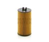 Mann Filter HU 6019 z